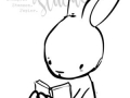 hase_1-300x300